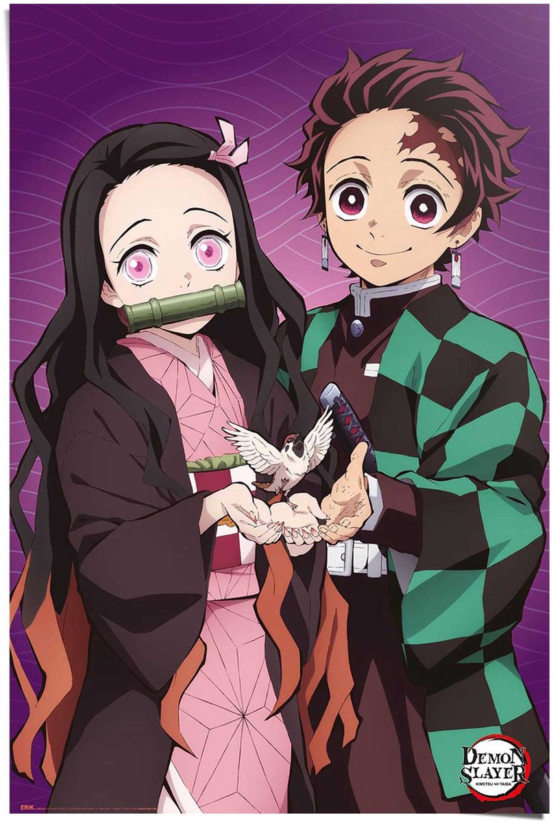 REINDERS Poster Demon Slayer - Tanjiro en Nezuko - 91,5 x 61 - Papier - REINDERS paars
