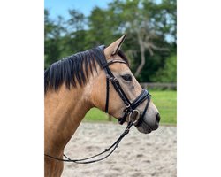 Epplejeck Hoofdstel Epplejeck Ejrose Gold Zwart | Maat: Paard