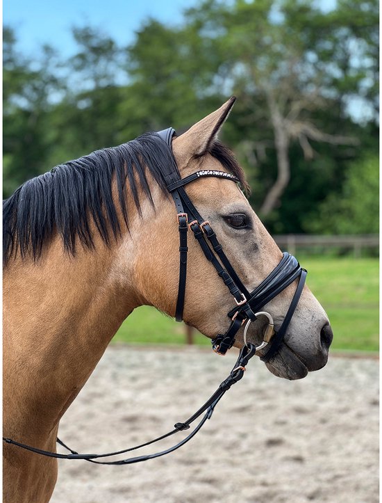 Epplejeck Hoofdstel Epplejeck Ejrose Gold Zwart | Maat: Paard Epplejeck Hoofdstel Epplejeck Ejrose Gold Zwart | Maat: Paard