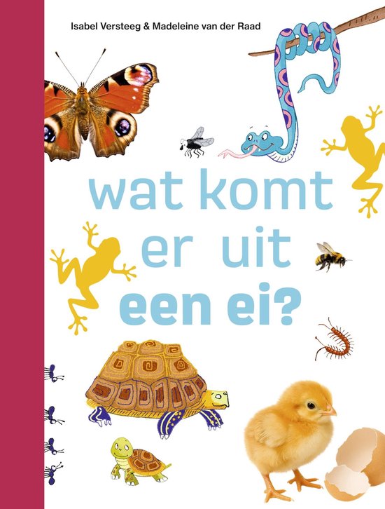 ik lees informatief - wat komt er uit een ei? - cover