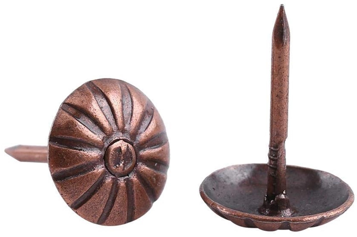 Dailygoods- Kopspijkers 100 Stuks - Decoratieve Spijkers - Vintage Stijl - Eenvoudige Installatie - Voor Meubeldecoratie - 11 x 16 mm - Stoffeernagels