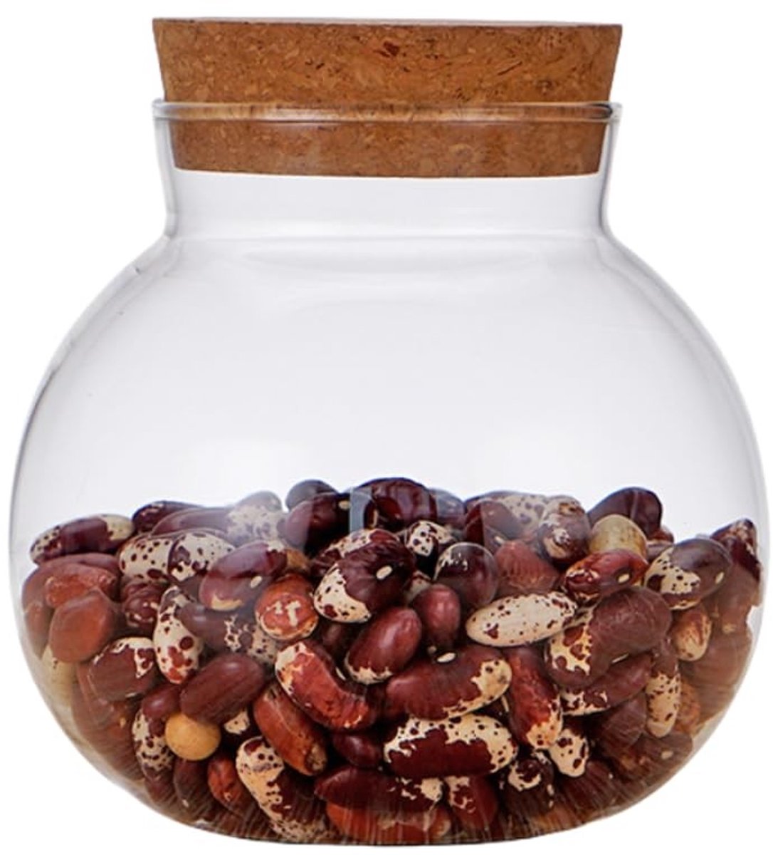 Dailygoods- Glazen Fles 500ml - Verzegelde Pot - Kurk Stopper - Opslag Container - Transparant Glas - Bescherming tegen Versheid - Opbergpot