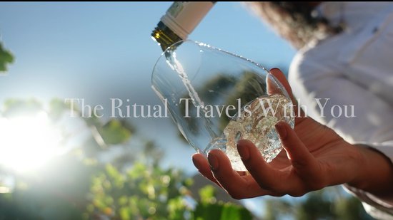 Copain de Vin VinVoyage Bundle Pack – Draagbaar Kristallen Wijnglas met Beschermcase en Carry Bag – Reis Wijnglas – Premium Wijngeschenk