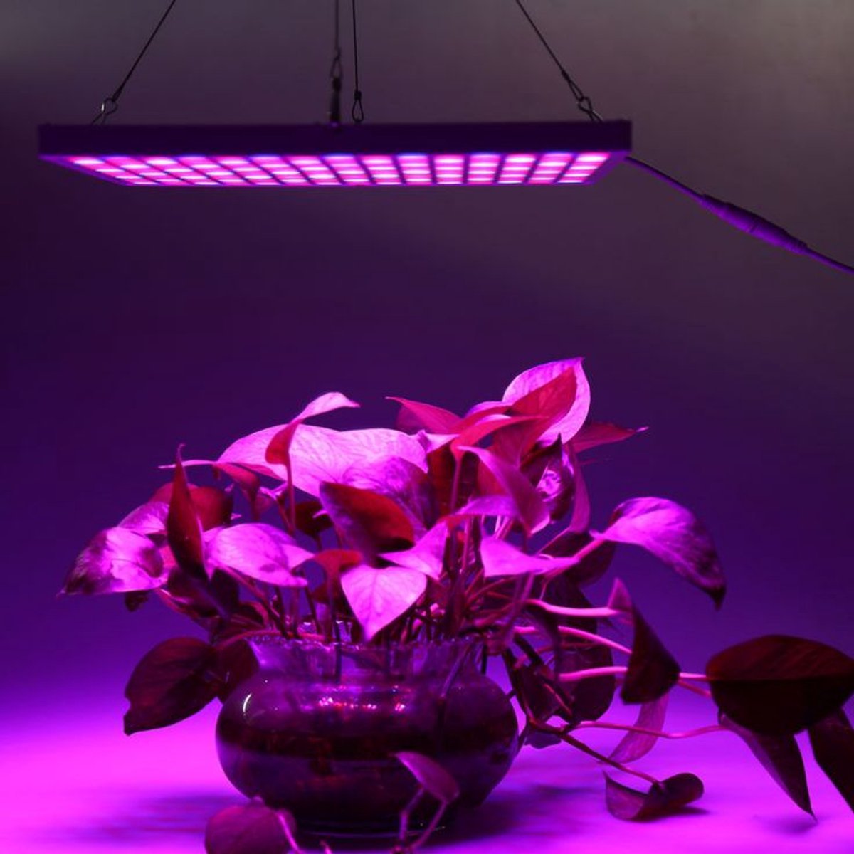 LED groeilamp - kweeklamp - full spectrum - groei & bloei - grow light - groeilamp full spectrum - 45 Watt - 30.5 x 30.5 cm - 225 LEDs