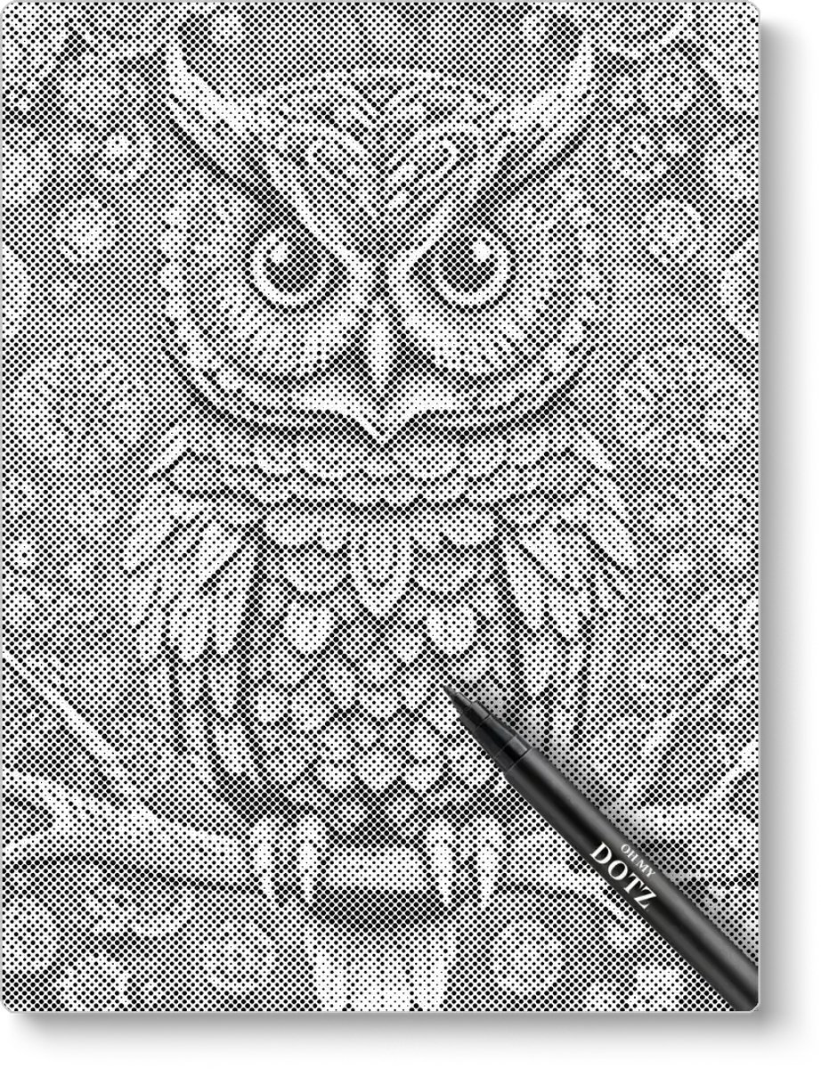 Uil Op Tak | Dot painting | 50x60cm Meest gekozen | Dot painting | Oh My Dotz | Dots stippen | Diamond painting & Schilderen op nummer alternatief | Happy hobby