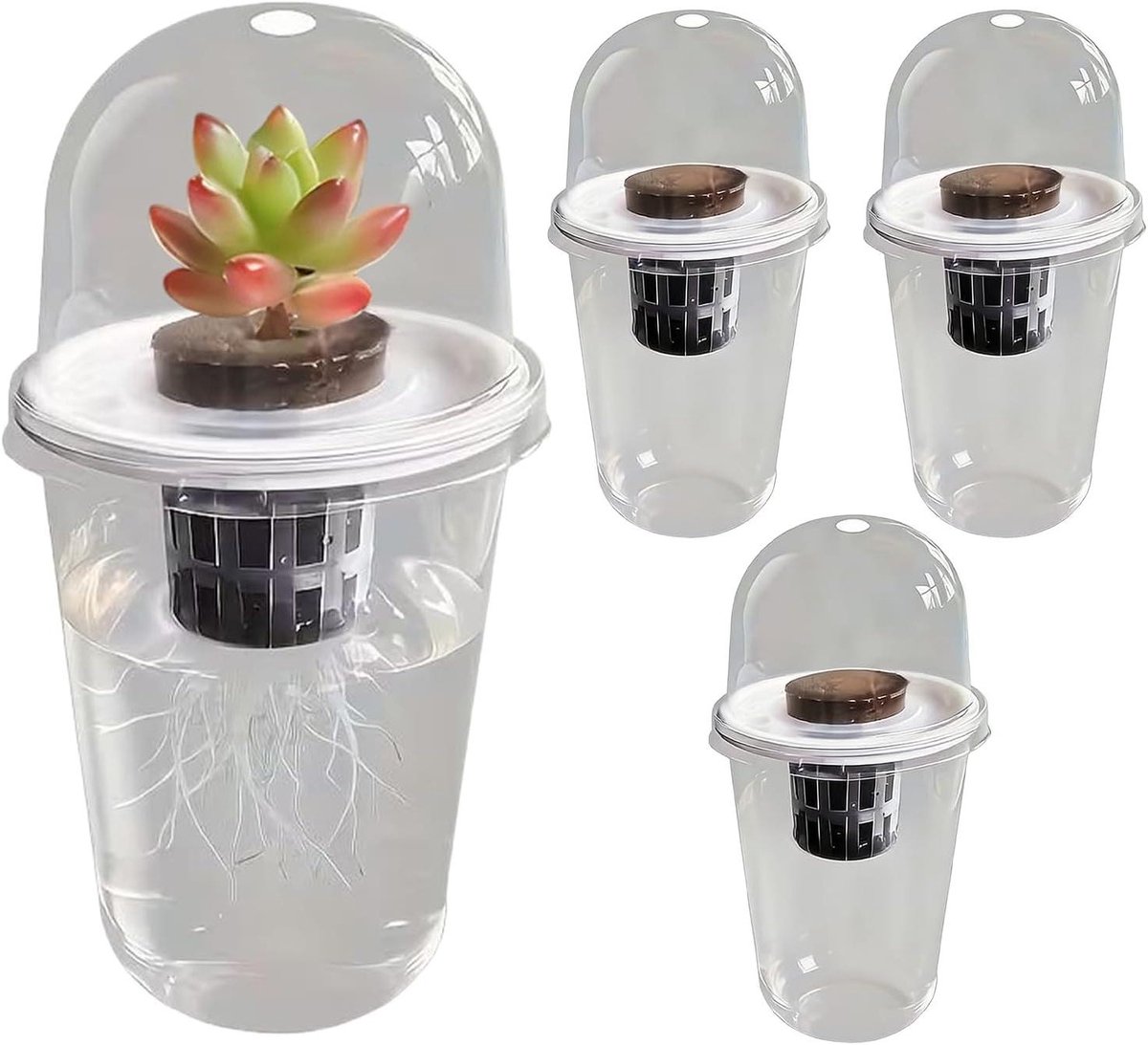 Kweekpotten Set - Plantenbakjes Rond - Zaad Ontkiemen - Transparant Ontwerp - 15 cm Hoog - Doorzichtig