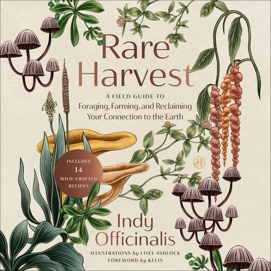 Rare Harvest - cover