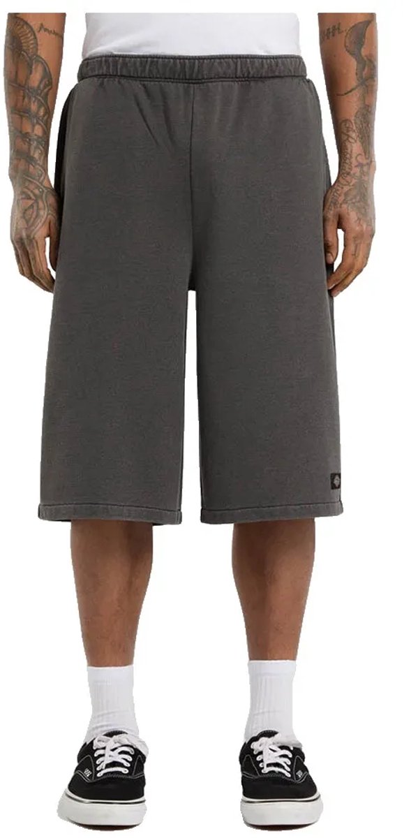 Dickies Streetsboro 13´´ Korte Sportbroek M Man Zwart