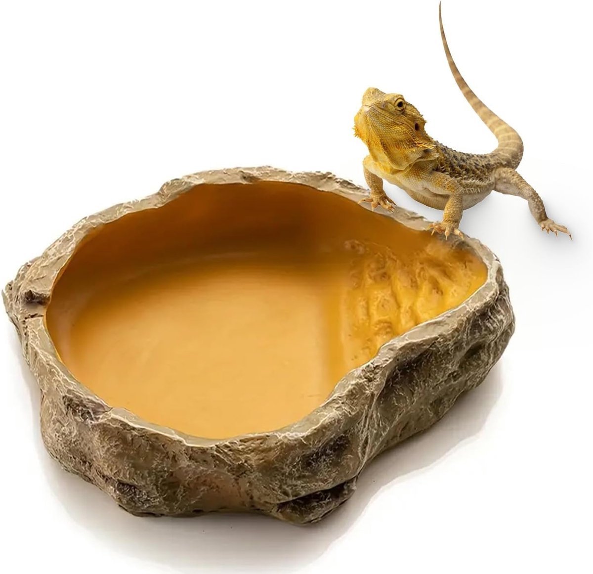 JeiibrZui Natuurstenen Reptielen Waterbak - Medium - 1 Stuk Voeder- En Drinkkom - Bruin Terrarium Accessoire Voor Schildpad, Gecko En Slang