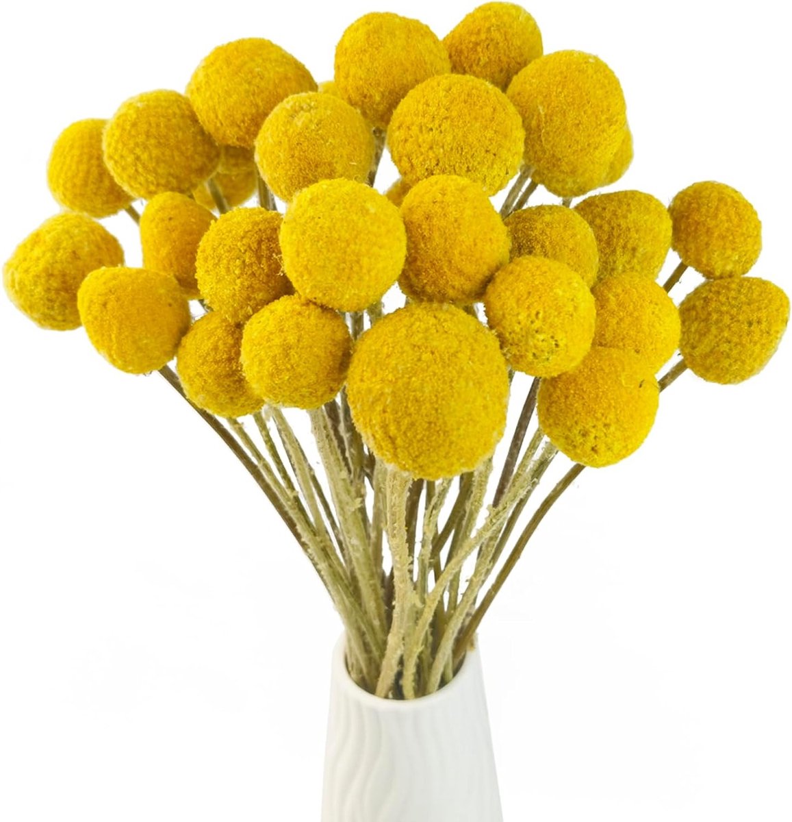 Natuurlijke gedroogde Craspedia bloemen - Gele Billy Buttons boeket bundels voor decoratie, ambachten, feesten en bruiloften (120x190cm)