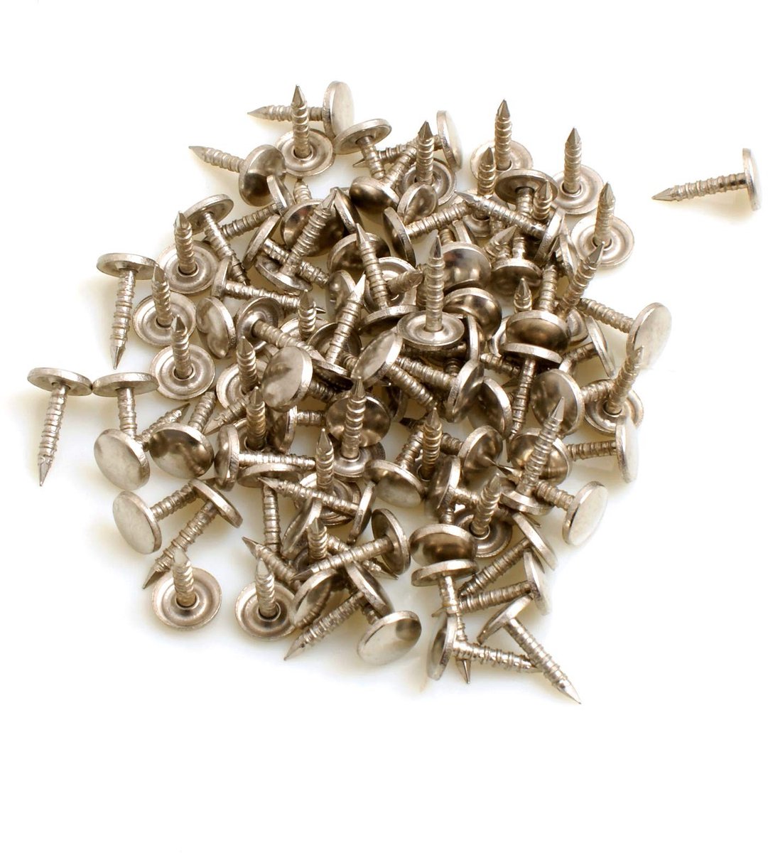 Dailygoods - Dailygoody - Behangpatroon Nagels - Vernikkeld Plat IJzer - 100 Stuks - Hoogwaardige Kwaliteit - Perfect voor Decoratie - Ideaal voor Thuisgebruik