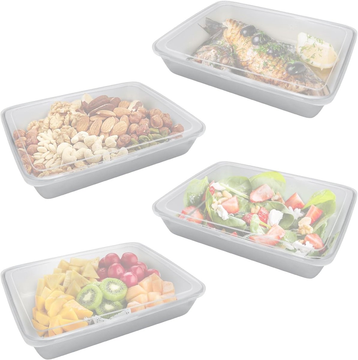 Set van 4 RVS Voedselcontainers met Deksel, Lekvrije Snackdozen voor Keuken en Buffet, Ideaal voor Restaurant en Vriezer (25 * 20 * 5cm)