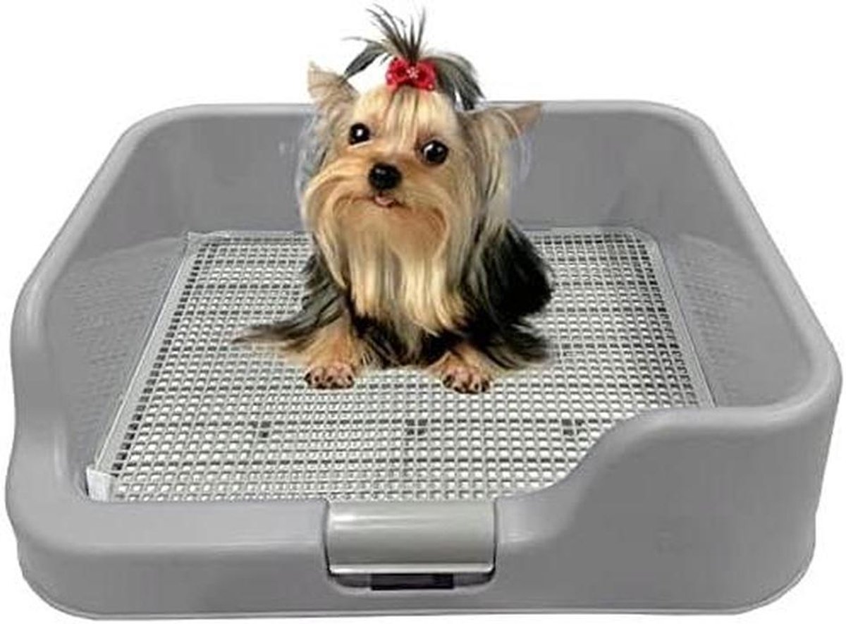 Hondenpotje voor binnen - Hondentoilet Puppy - Zindelijkheidstraining Hond - Geen Lekken of Morsen