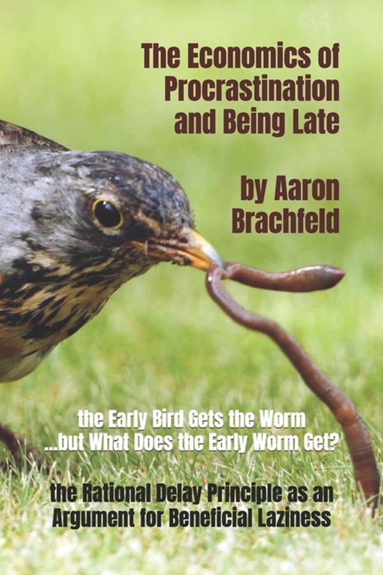 Business and Economics-The Economics of Procrastination and  ... - cover