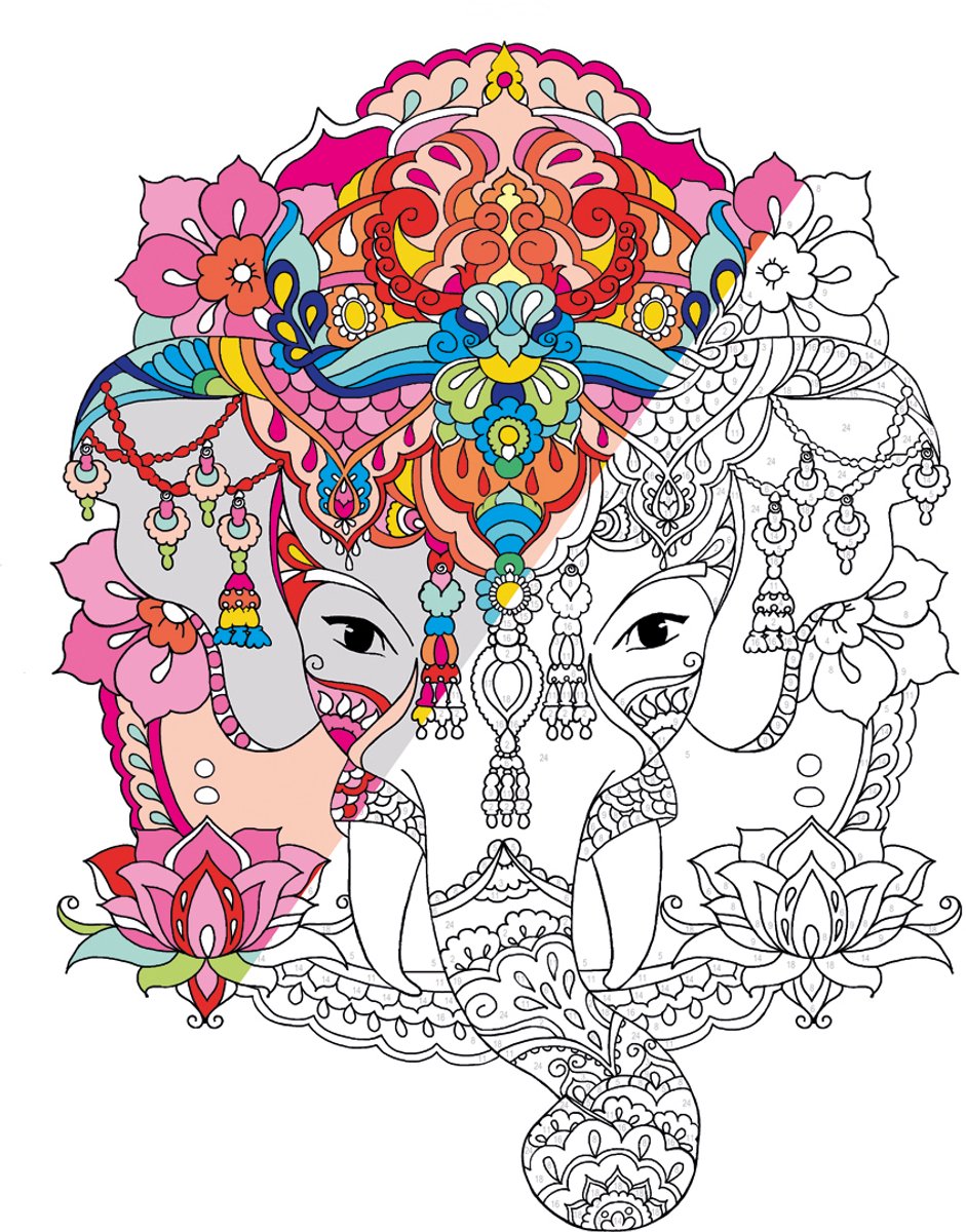 Masja van den Berg - Kleuren op nummer - Masja’s Mandala's - kleurboek voor volwassenen - dieren - bloemen — afbeelding 3