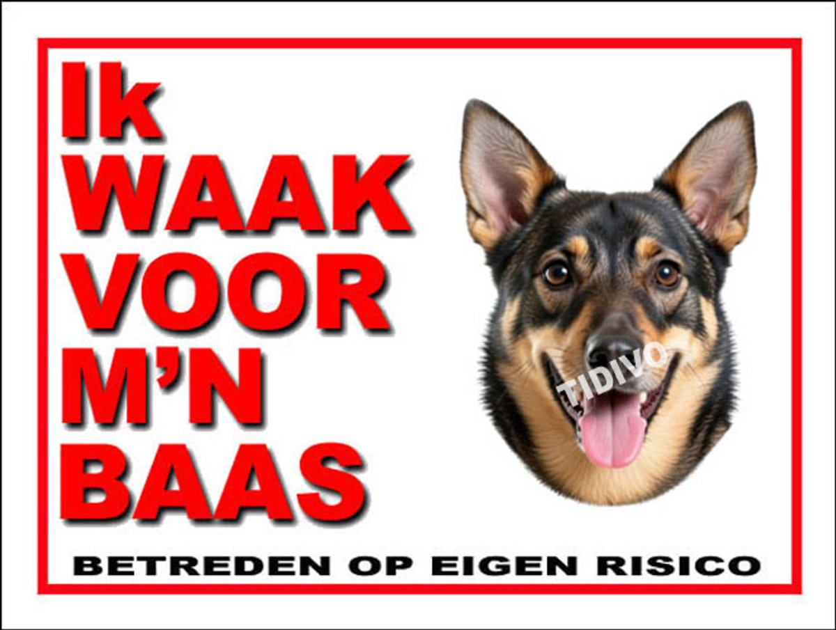 Västgötaspets 9