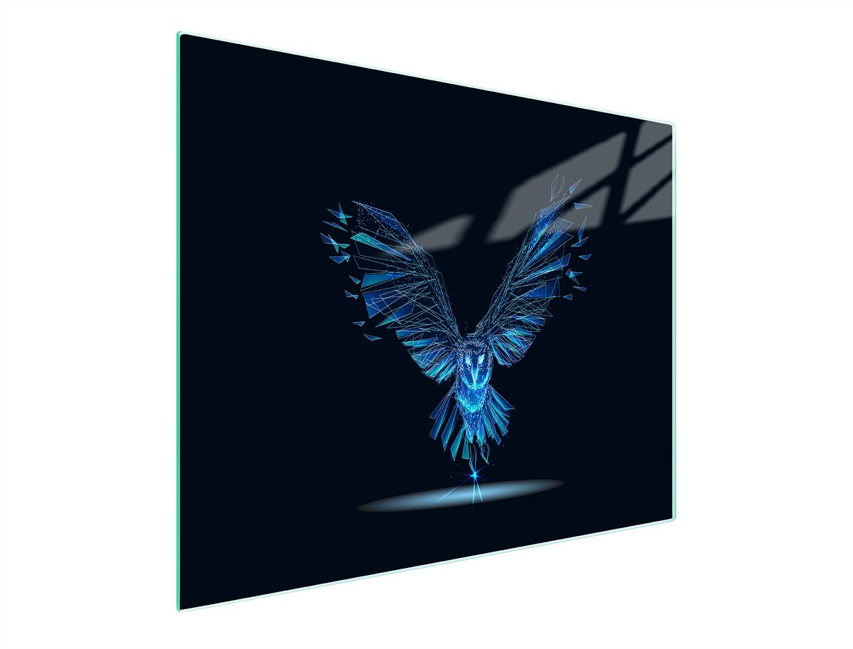 TMK ArtDeko - Snijplank - Glas - 52x30 cm - Vogelmotief