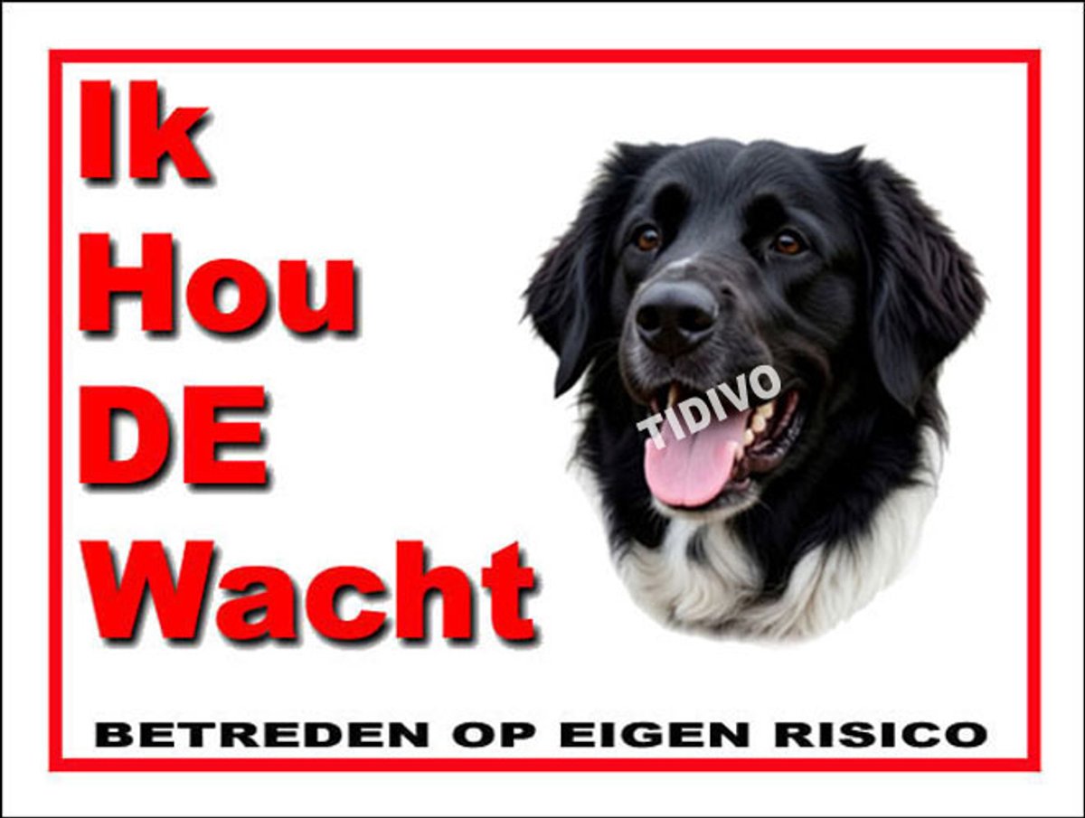 Stabijhound 7