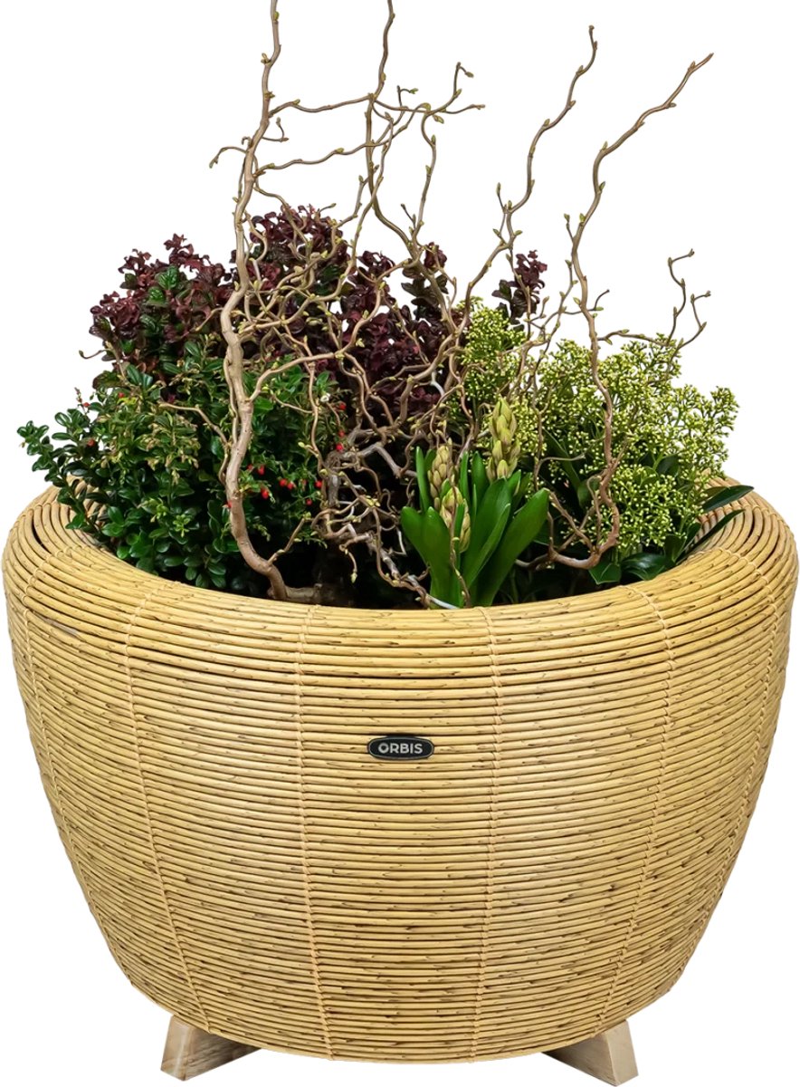 Orbis Planter plantenbak - Ø 67 x 44 cm, in 5 kleuren