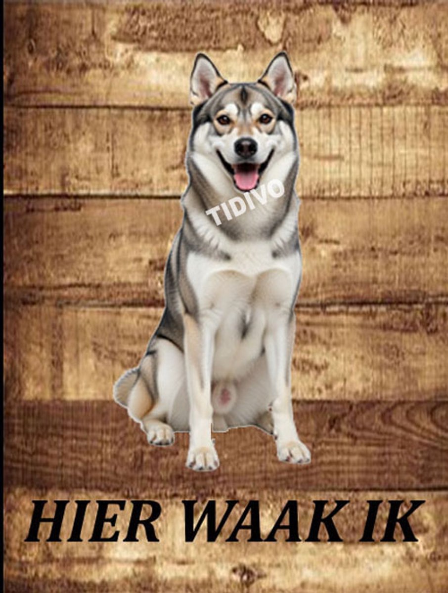 Westsiberische Laika 20