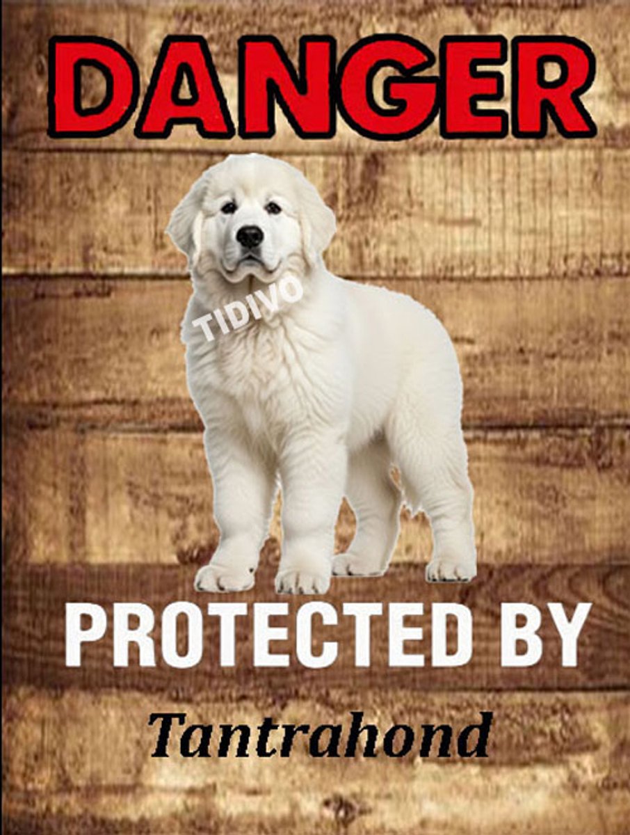 Tatrahond 19