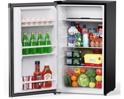 Kleine Koelkast - Mini Koelvak - Dranken Koelen - Energiezuinig Stil - 91 Liter - Zilver