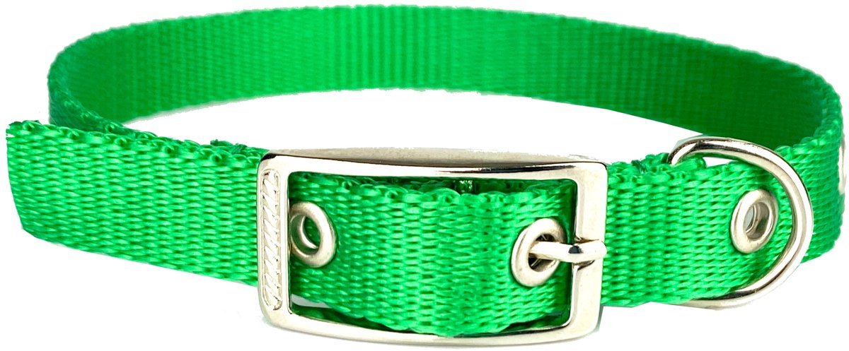 Lichtgroene leren riem 140 cm / 1,6 cm Breed - Duurzaam Polipropyleen