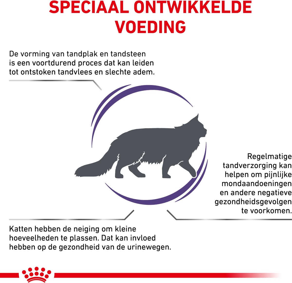 Royal Canin Expert Dental - Kattenvoer - 3 kg thumbnail 2