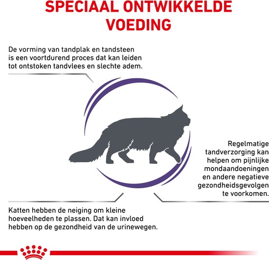Royal Canin Expert Dental - Kattenvoer - 3 kg
