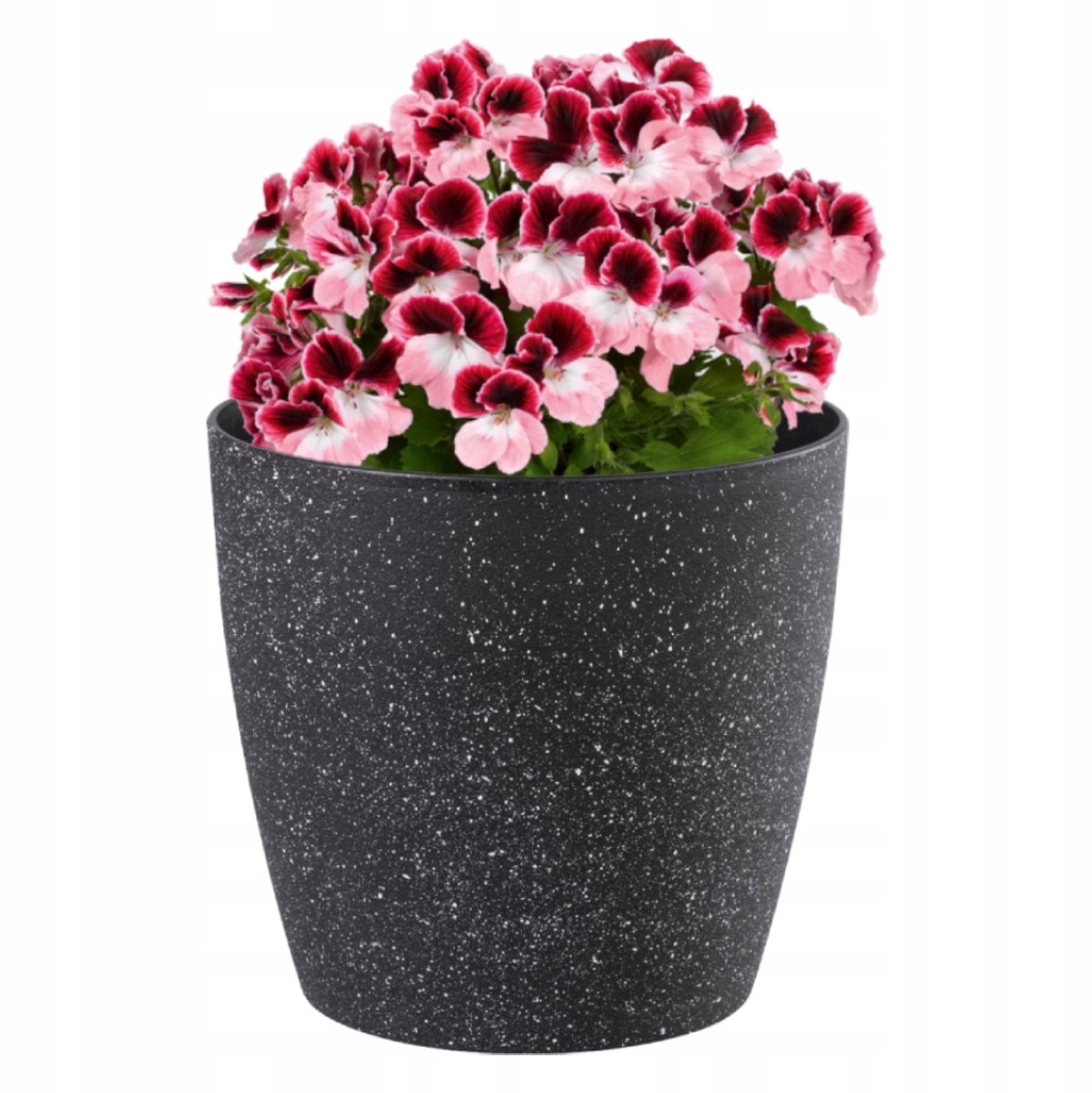 Tuinpot met steeneffect - 28x26 cm - Zwart