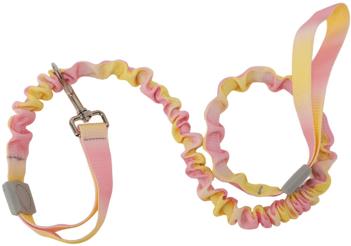 BRENZOOS- Hondenriem met dubbel handvat - Elastisch nylon - Lengte 110-160 cm - Veiligheidsgordel voor honden - Knoopvrij draaistuk - Duurzaam materiaal - Hondentuig