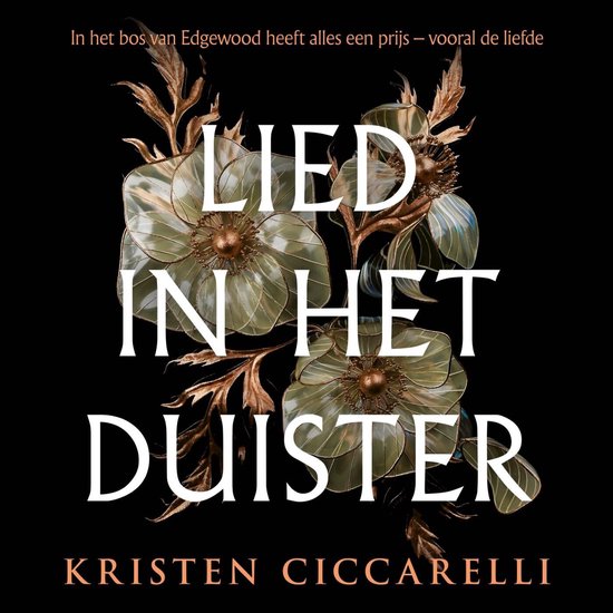 Lied in het duister - cover