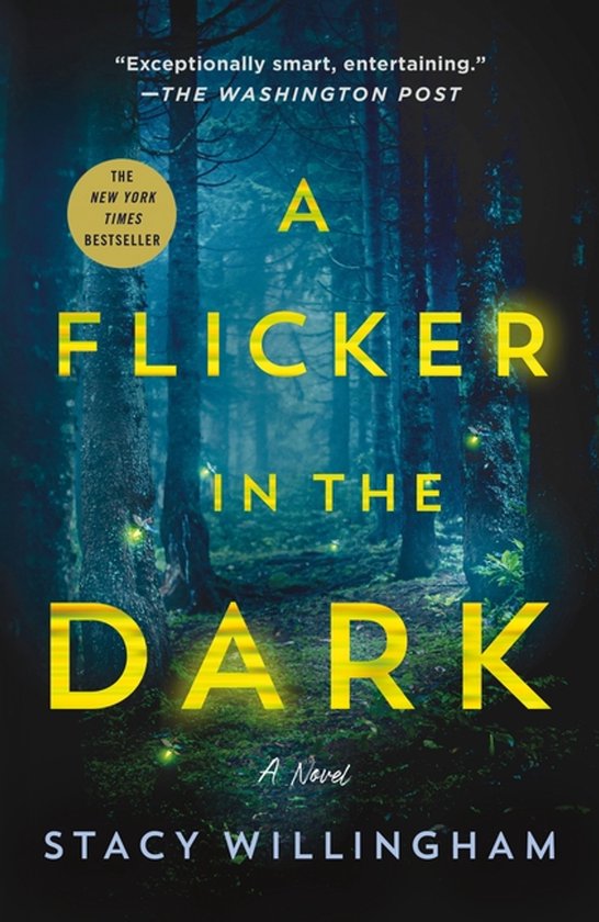A Flicker in the Dark - cover