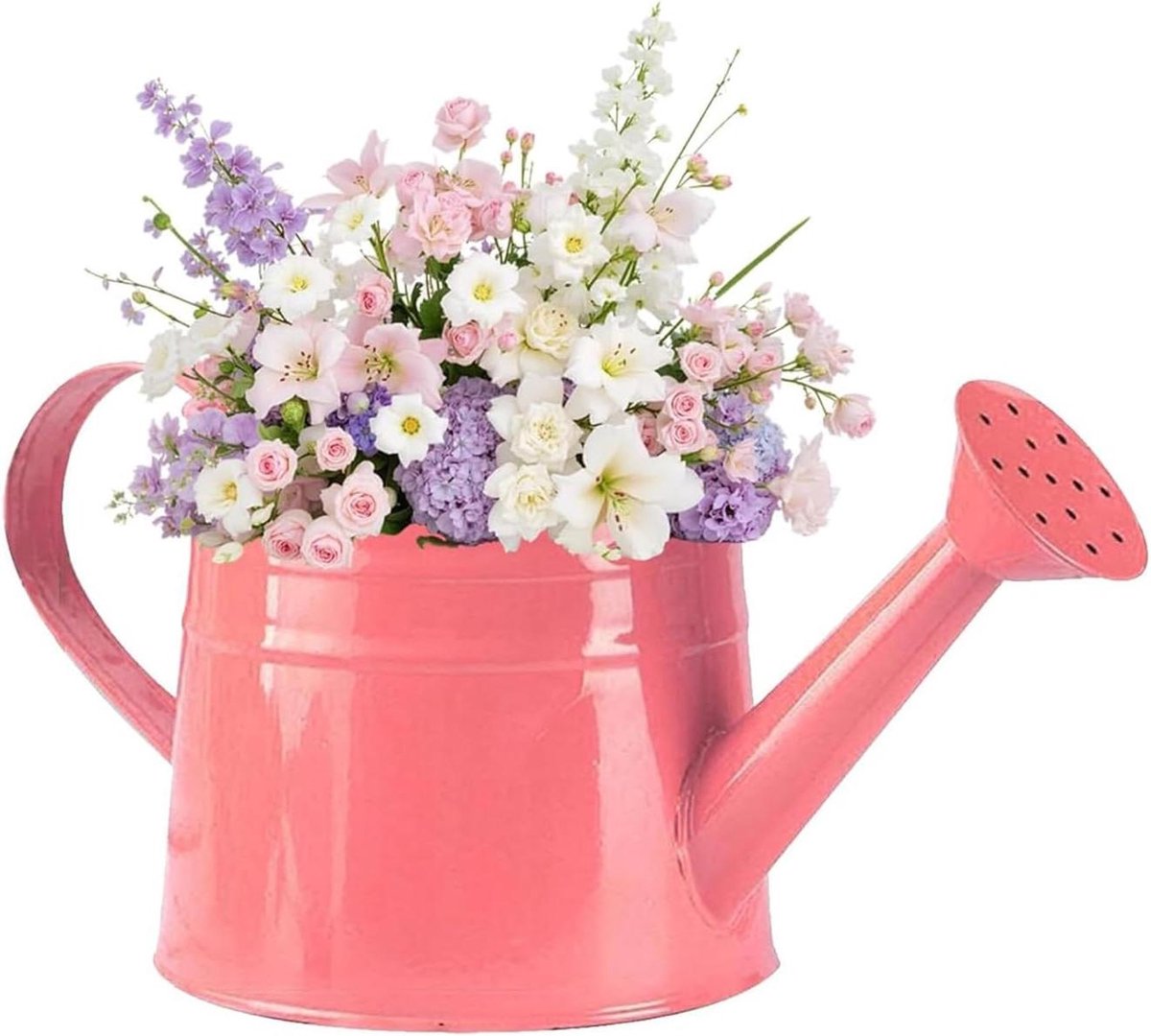 Metalen Gieter - Vintage Waterkan - Planten Water Geven - Verwijderbare Tuit - 1 Gallon Capaciteit - Mat Zwart