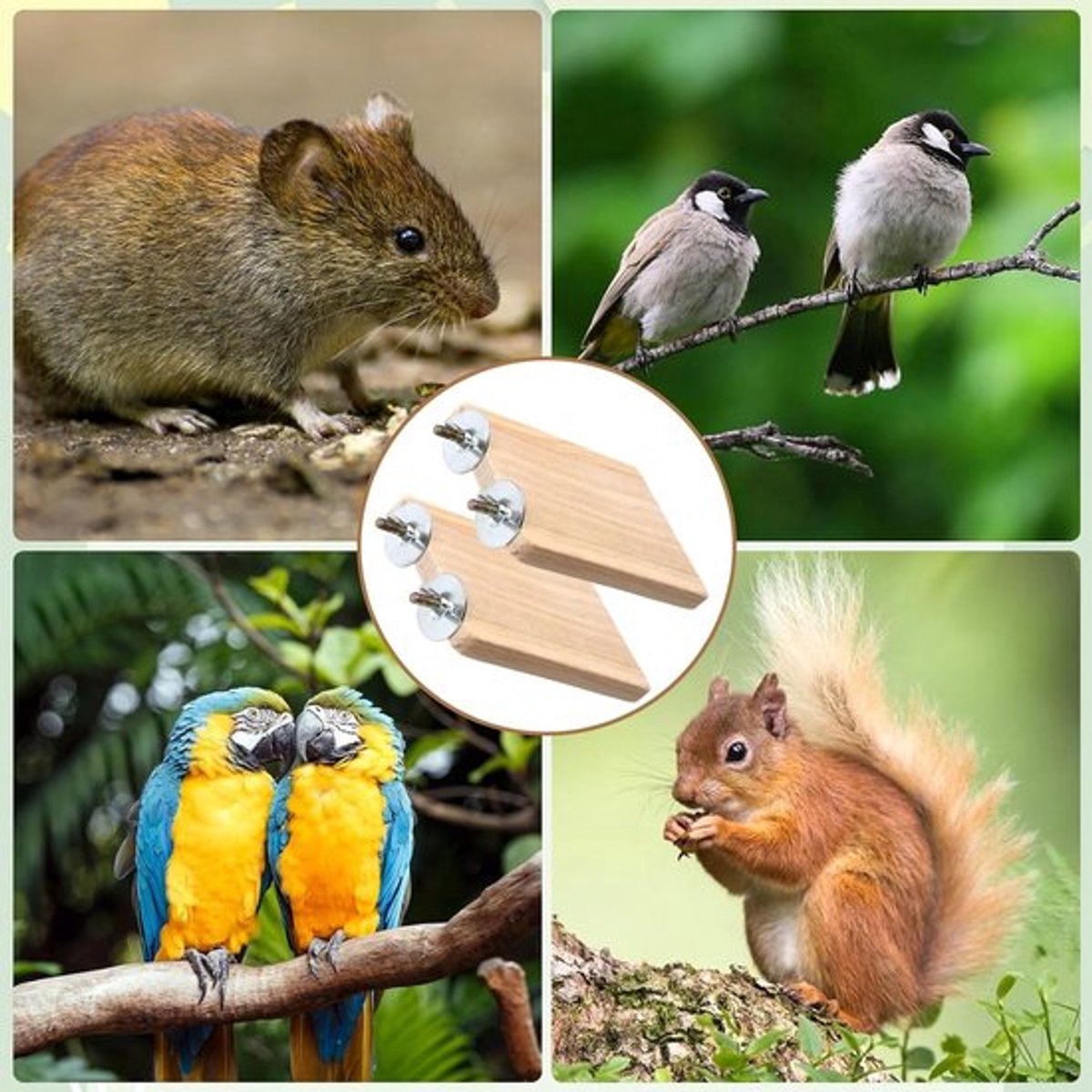 VHV - Vogelzitstok - Vogelplatform - Vogelaccessoire - Vogelplatform set - Rechthoekig zitplatform - Papegaaien platform - Parkieten zitplek - Vogelkooi plank - Voor papegaaien - Voor nymphs - Voor vogelkooi thumbnail 3