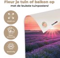Afbeelding nummer  7