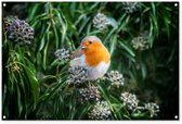 Tuinposter 120x80 cm - Tuindecoratie Bloemen - Vogel - Roodborstje - Poster voor in de tuin - Buiten decoratie - Schutting tuinschilderij - Tuindoek muurdecoratie - Wanddecoratie balkondoek