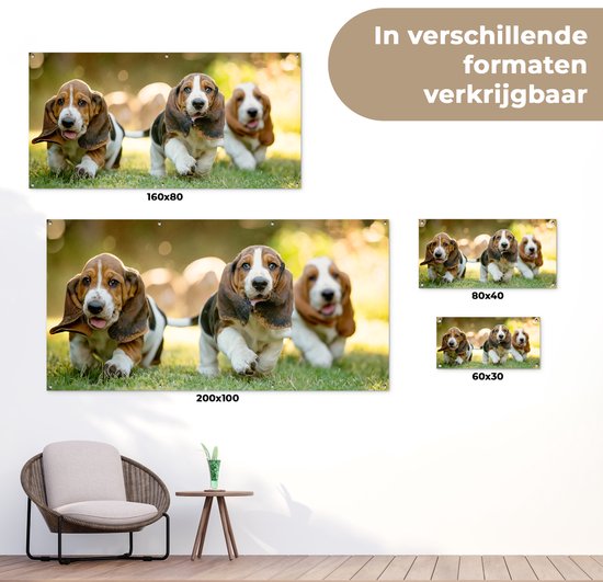 Poster de jardin Les chiots courent dans l'herbe - 60x30 cm - Toile de jardin - Poster extérieur