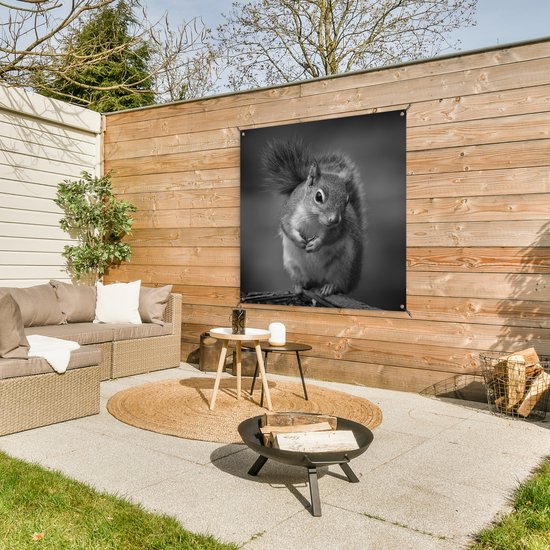 Curieux écureuil en noir et blanc affiche de jardin en vrac 100x100 cm - Toile de jardin / Toile d'extérieur / Peintures pour l'extérieur (décoration de jardin)
