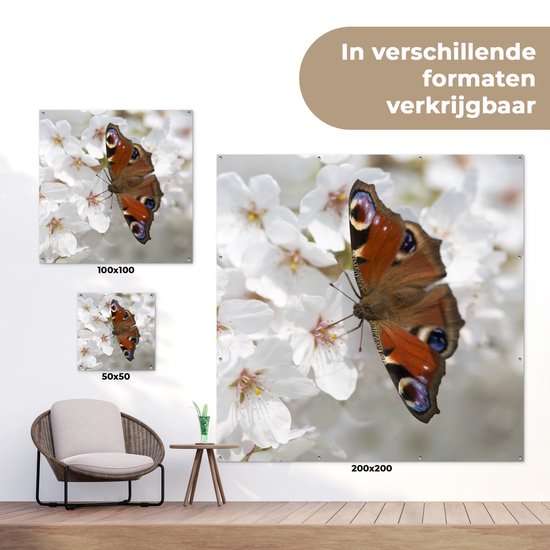 Poster Jardin Papillon paon sur fleur de cerisier - 200x200 cm - Toile jardin - Poster extérieur