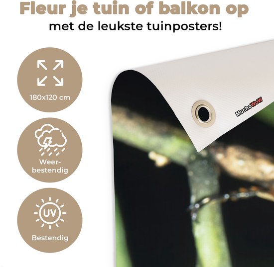 Grote poster van een insect op een tak, met icoontjes voor 180x120 cm, weerbestendig en UV-bestendig.