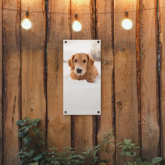 Affiche de jardin Chien - Neige - Hiver - 30x60 cm - Toile jardin - Affiche extérieure