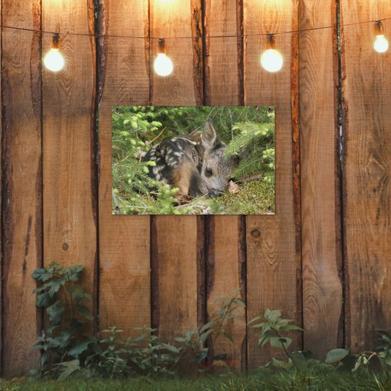 Décoration de jardin Cerf endormi - 60x40 cm - Affiche de jardin - Toile de jardin