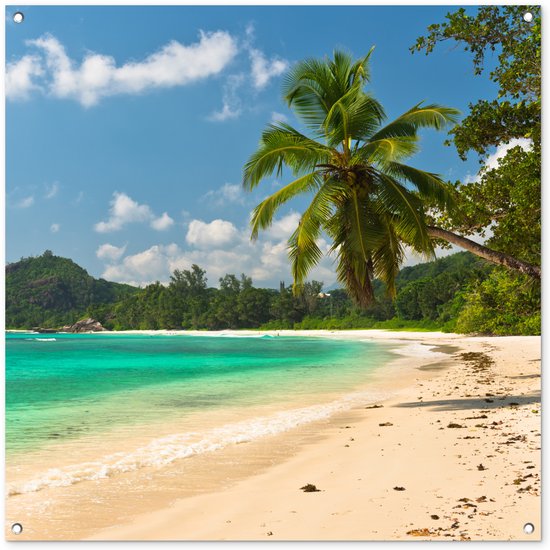 Tuinposter 100x100 cm - Tuindecoratie Tropisch - Eiland - Strand - Poster voor in de tuin - Buiten decoratie - Schutting tuinschilderij - Tuindoek muurdecoratie - Wanddecoratie balkondoek