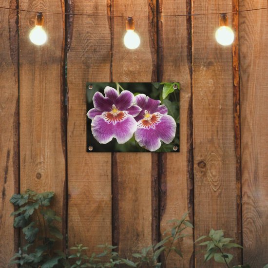 Décoration de Jardin Orchidée sauvage - 40x30 cm - Toile de jardin