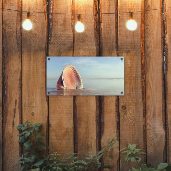 Poster de jardin Coquillage - Plage - Mer - 60x30 cm - Toile de jardin - Poster extérieur