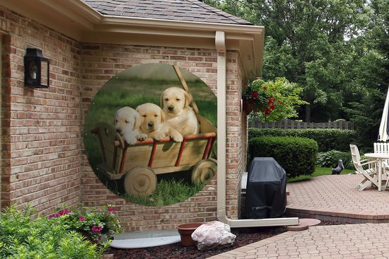 Cercle de jardin Trois adorables chiots Golden Retriever dans un chariot - 150x150 cm - Affiche de jardin ronde - Extérieur