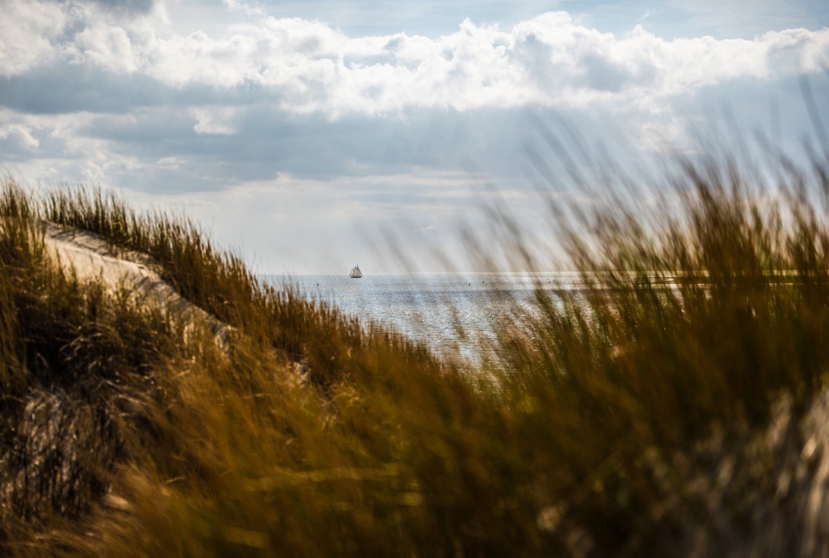 Tuinposter Ameland zeezicht – duinen, strand en zeilboot op de Waddenzee – 120x80 cm tuindoek voor buiten – rustgevende schutting decoratie – UV & weerbestendig