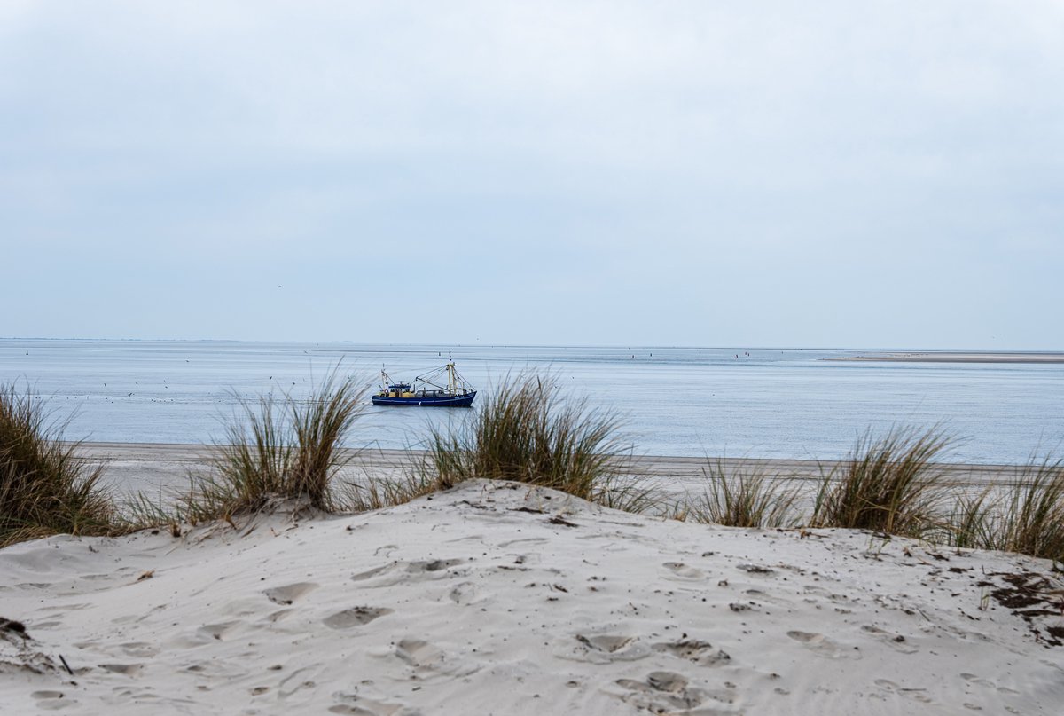 Tuinposter Ameland strand en zee – uitzicht over de Waddenzee met vissersboot – 120x80 cm tuindoek voor buiten – rustgevende schutting decoratie – UV & weerbestendig