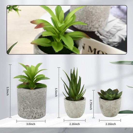 Drie kunstplanten in betonnen potten: een groene struik, een aloë plant en een vetplant.